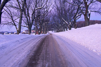 Plowed Roadway